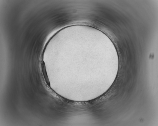 X0000097880960200804110947