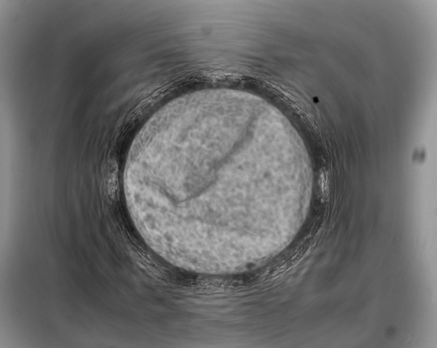 X0000097880963200804110946