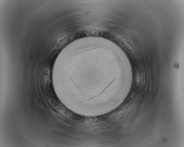 X0000097880964200804110946