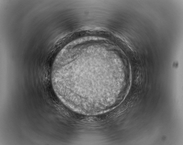 X0000097880966200804110946