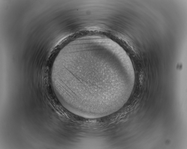 X0000097880968200804110946