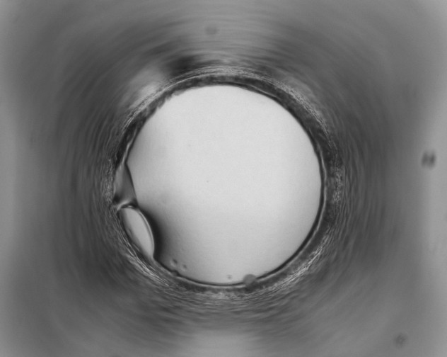 X0000097880969200804110946