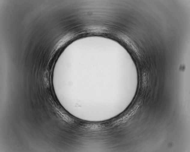 X0000097880970200804110946