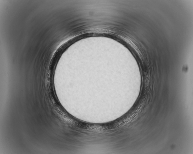 X0000097880971200804110946