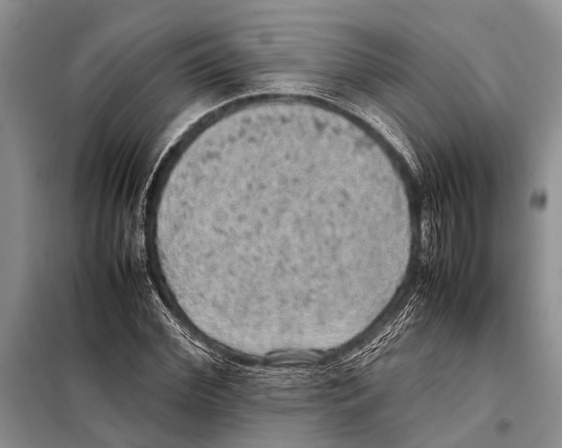 X0000097880972200804110946