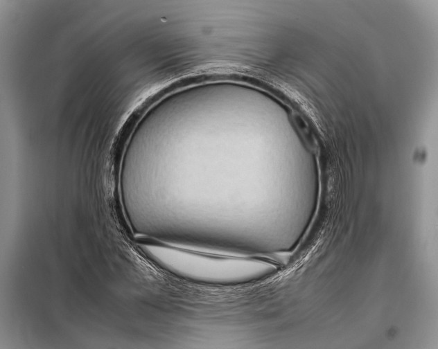 X0000097880973200804110946