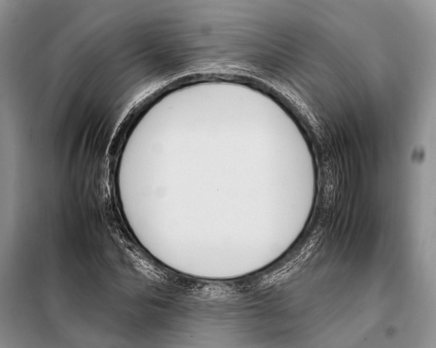 X0000097880974200804110946