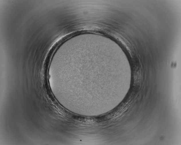 X0000097880975200804110946