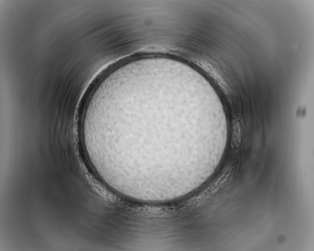 X0000097880976200804110946