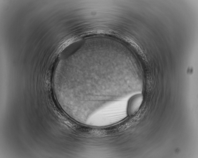 X0000097880977200804110946