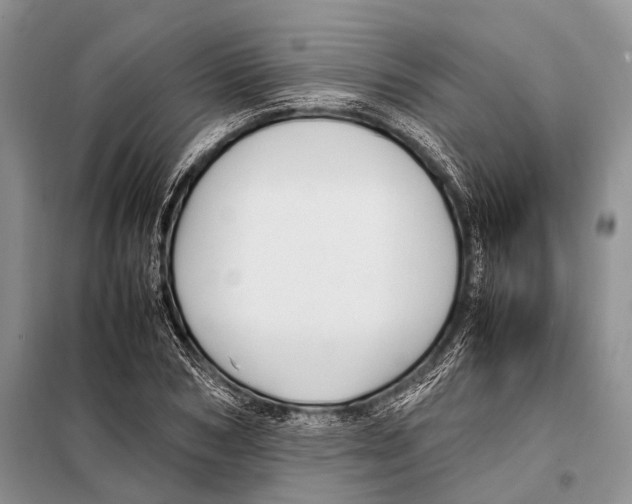 X0000097880978200804110946