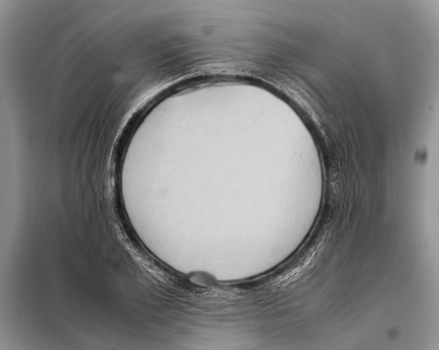 X0000097880981200804110946