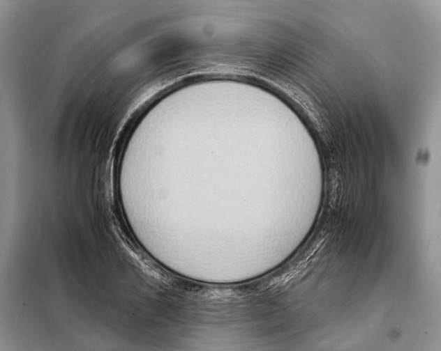 X0000097880982200804110946