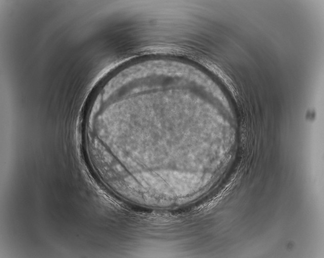 X0000097880983200804110946