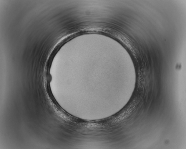 X0000097880984200804110946