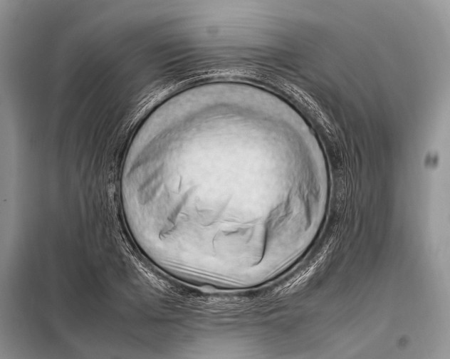 X0000097880985200804110946