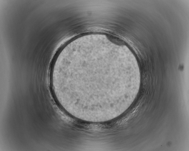 X0000097880987200804110946