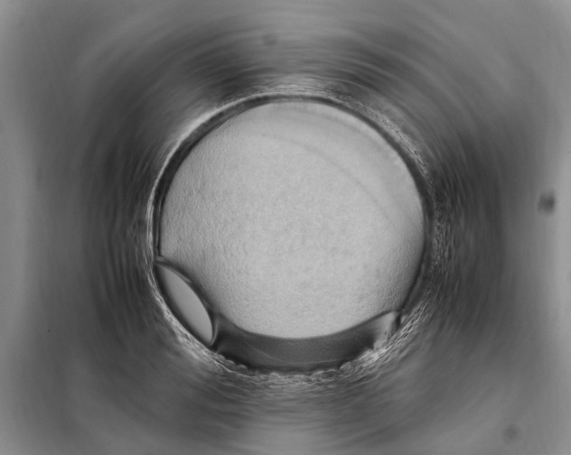 X0000097880988200804110946