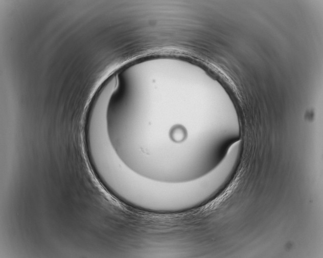 X0000097880989200804110945