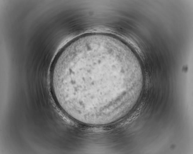 X0000097880990200804110945