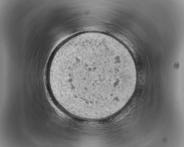 X0000097880991200804110945