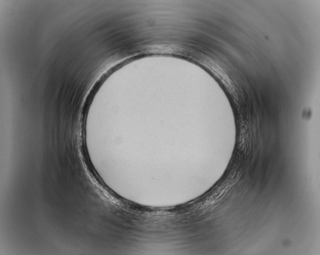 X0000097880992200804110945