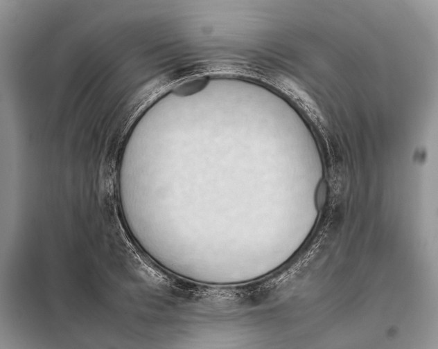 X0000097880993200804110945