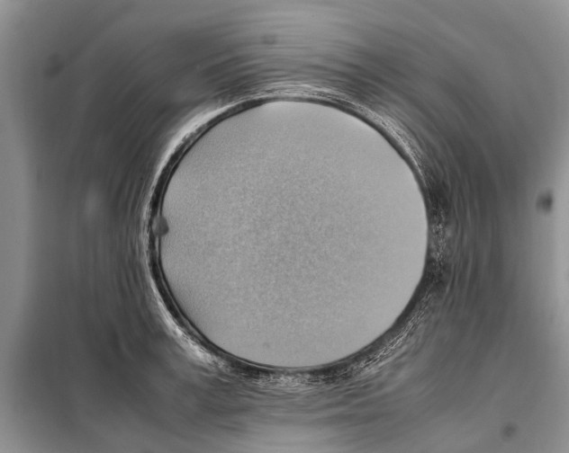 X0000097880995200804110945