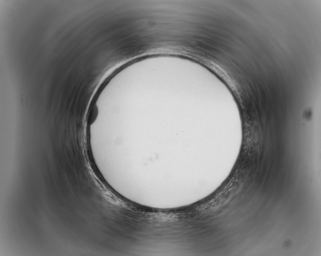 X0000097880996200804110945