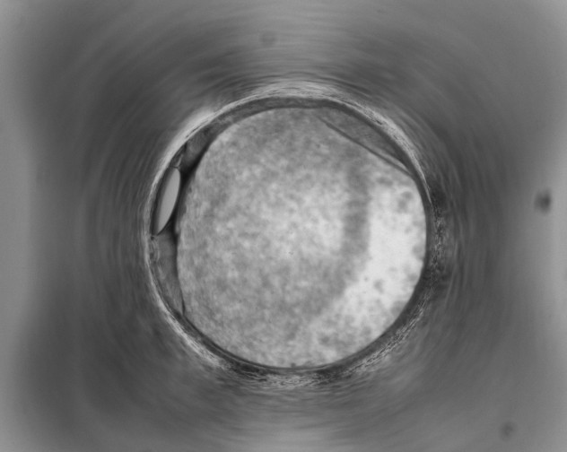 X0000097880997200804110945