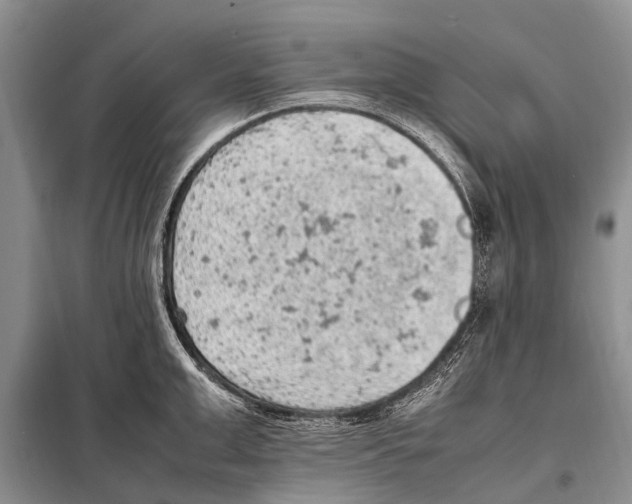 X0000097880999200804110945