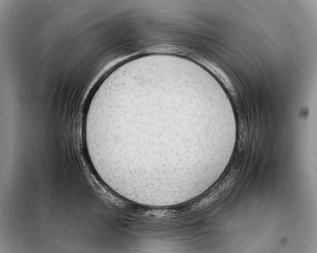 X0000097881000200804110945