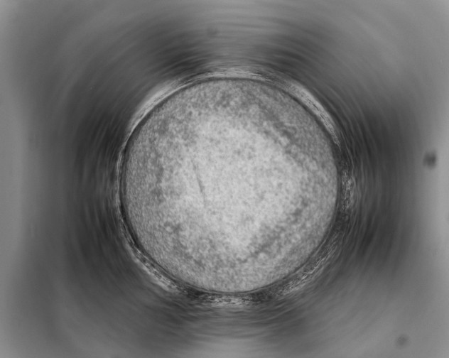 X0000097881002200804110945