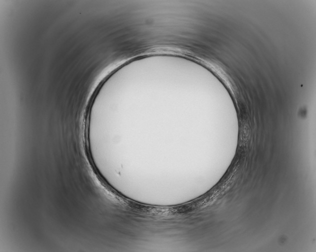 X0000097881003200804110945