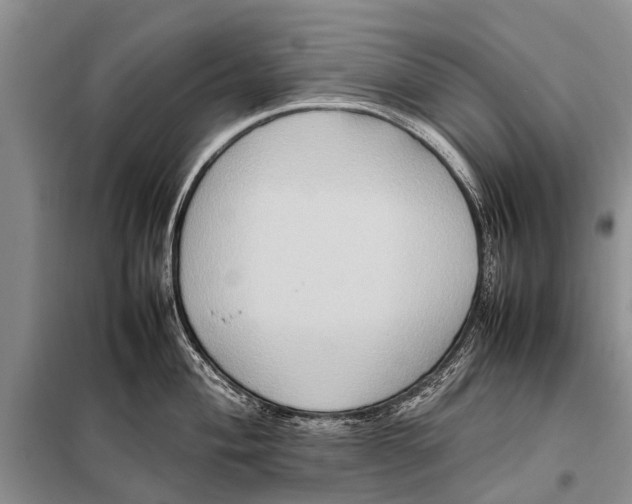 X0000097881004200804110945