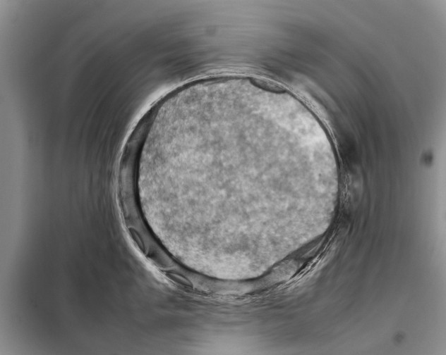 X0000097881005200804110945