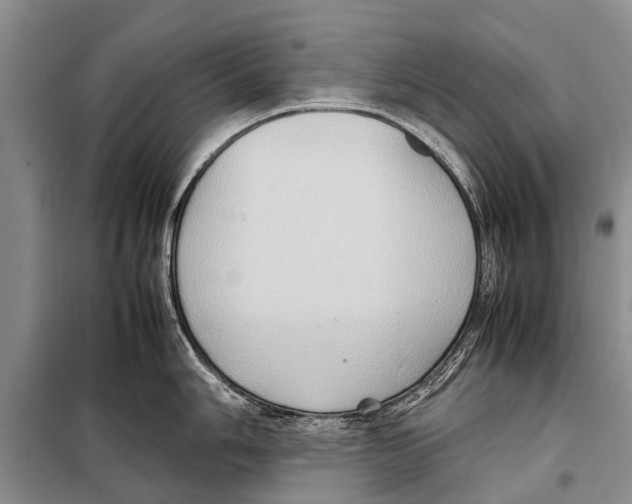 X0000097881006200804110945