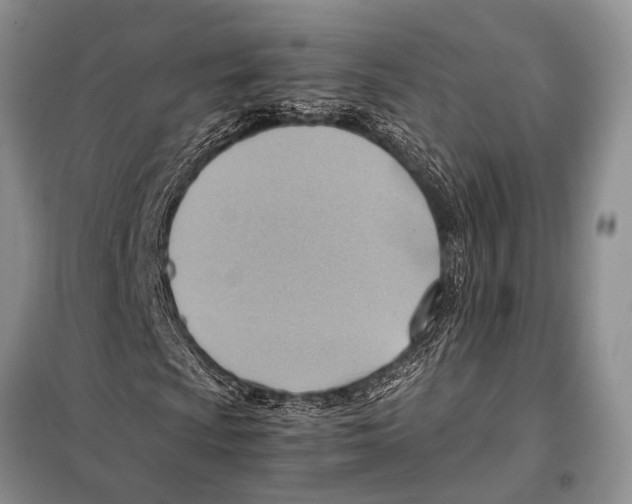 X0000097881009200804110944