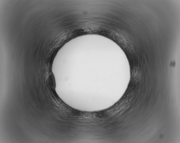 X0000097881012200804110944