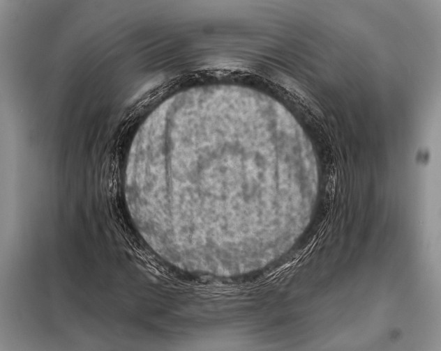 X0000097881014200804110944