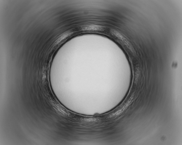 X0000097881017200804110944