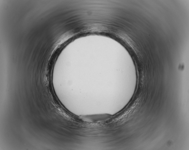 X0000097881018200804110945