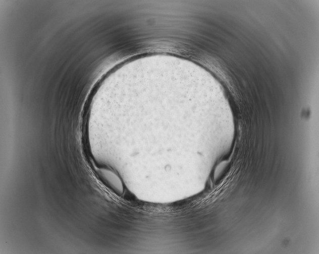 X0000097881020200804110945