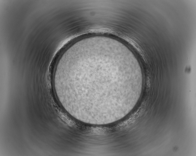 X0000097881022200804110945