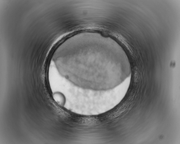 X0000097881024200804110945