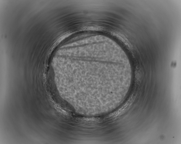 X0000097881025200804110945