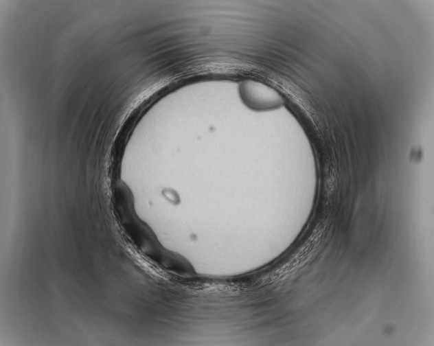 X0000097881026200804110945