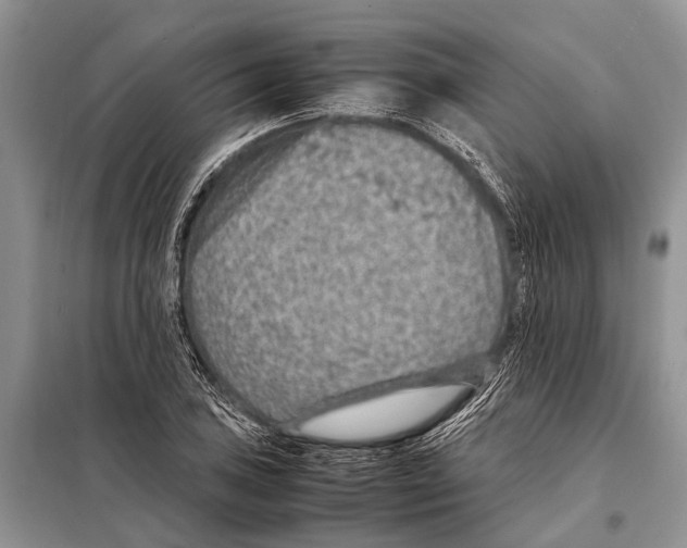 X0000097881027200804110945