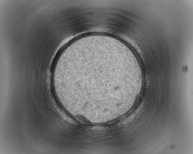 X0000097881029200804110945