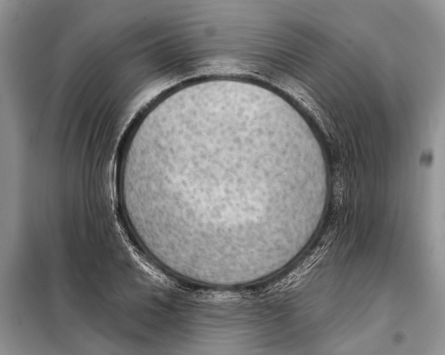 X0000097881030200804110945